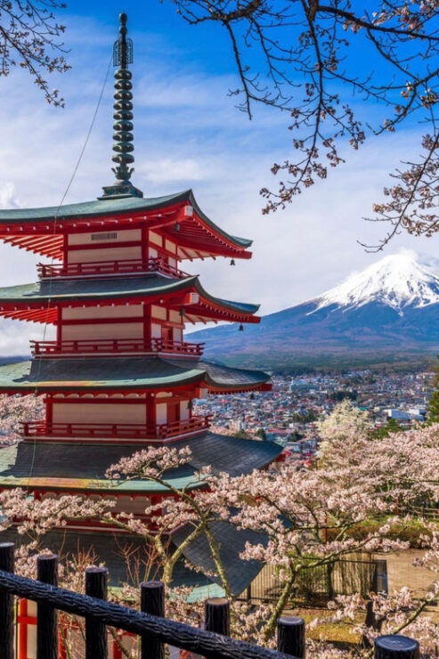 From Tokyo:Mount Fuji Customize Day Tour With English Driver - Good To Know
