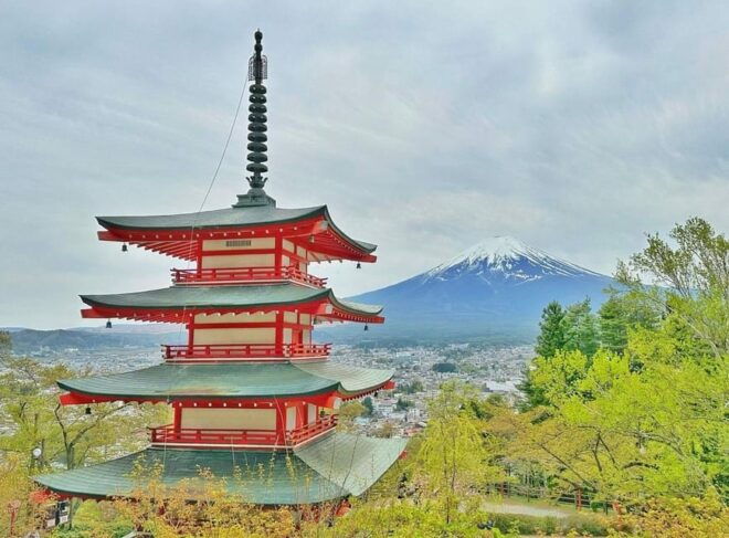From Tokyo:Mount Fuji Customize Day Tour With English Driver - Vehicle and Comfort Features