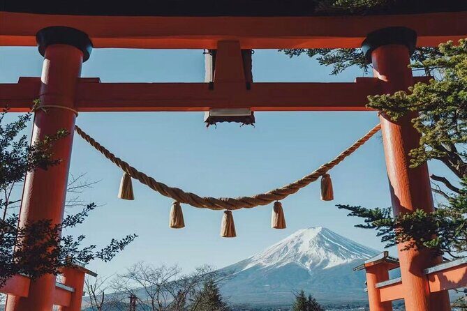 From Tokyo:Mount Fuji Lake Kawaguchi, Oshino Hakkai,Shrine Tour - Practical Tips for Travelers