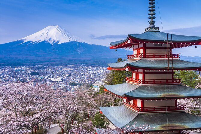 From Tokyo:Mount Fuji Lake Kawaguchi, Oshino Hakkai,Shrine Tour - FAQ