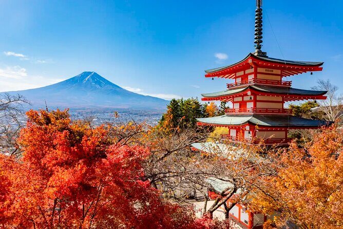 From Tokyo:Mount Fuji Lake Kawaguchi, Oshino Hakkai,Shrine Tour - Who Will Appreciate This Tour?