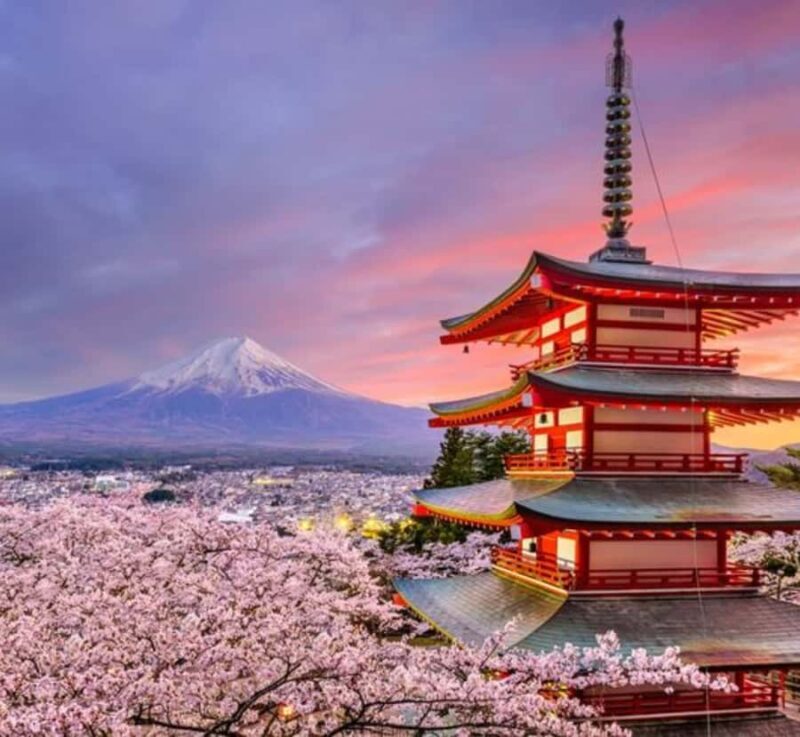 From Tokyo:Mount Fuji Private Customizable Tour with Guide - What Sets This Tour Apart?