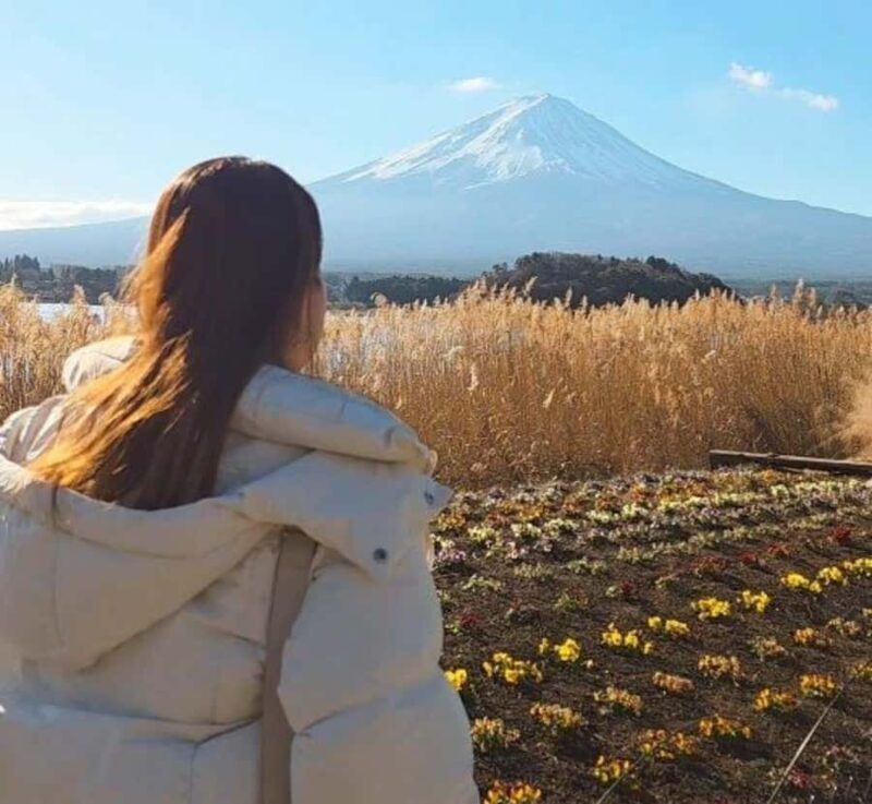 From Tokyo:Mount Fuji Private Customizable Tour with Guide - The Experience in Practice—Authentic Insights from Travelers