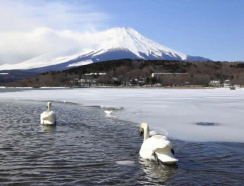 From Tokyo:Mount Fuji Private Customizable Tour with Guide - FAQ