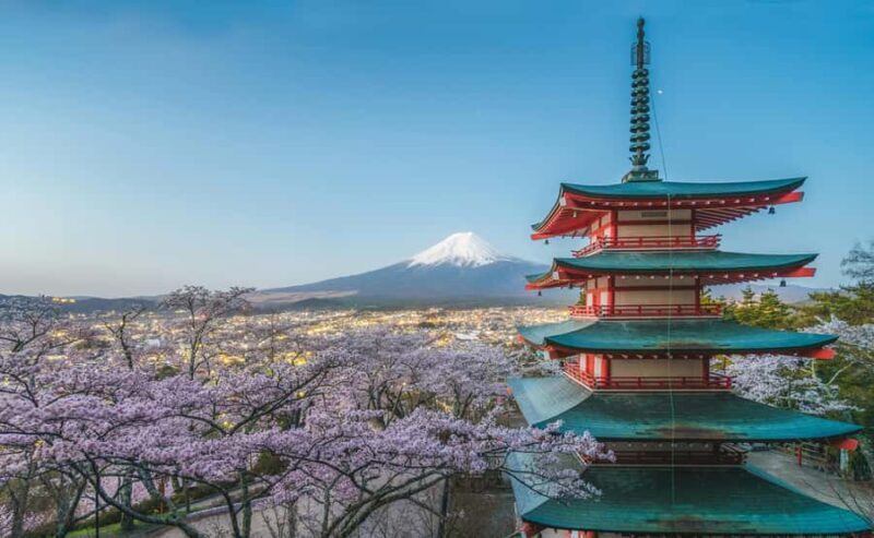 From Tokyo:Mount Fuji Private & Customizable Tour with guide - The Experience of the Drive and Guides