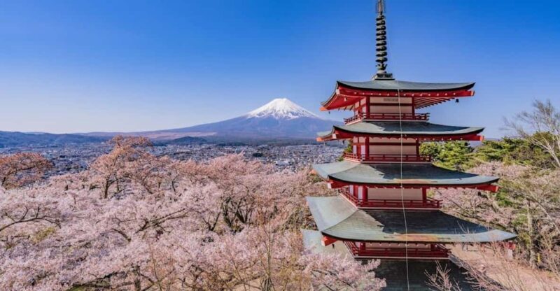 From Tokyo:Mt.Fuji &Hakone Trip with English Speaking guide - The Itinerary in Detail: What You Can Expect