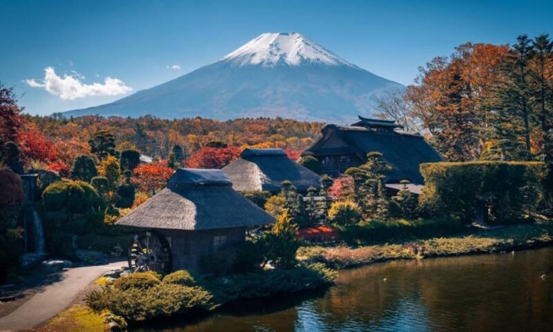 From Tokyo:Mt.Fuji &Hakone Trip with English Speaking guide - Transportation and Practicalities