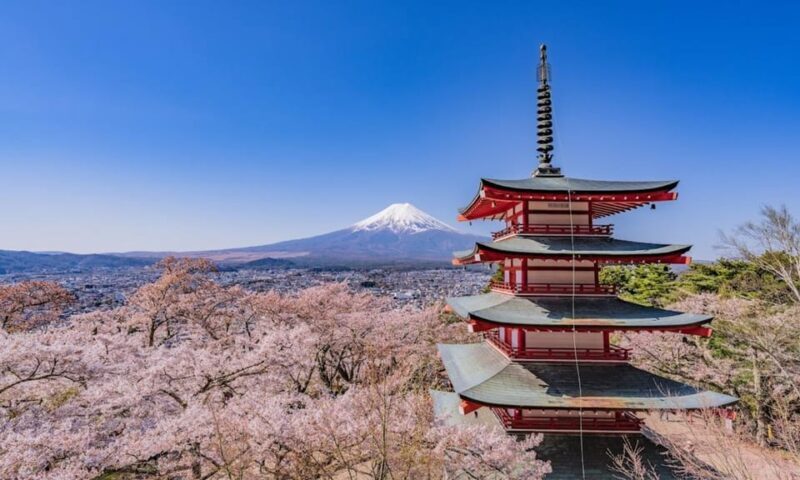 From Tokyo:Mt.Fuji &Hakone Trip with English Speaking guide - Cost and Value