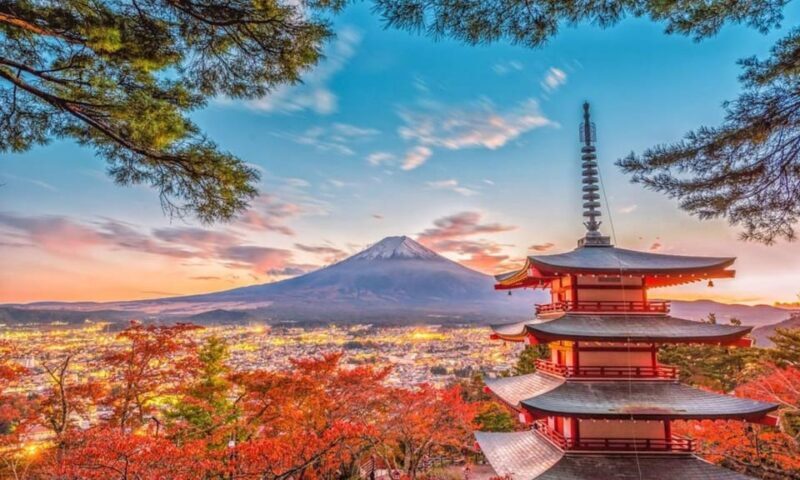 From Tokyo:Mt.Fuji &Hakone Trip with English Speaking guide - Who Is This Tour Best For?