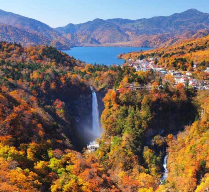 From Tokyo:Nikko World Heritage Customizable Tour with Guide - Why Choose a Private, Customizable Tour?