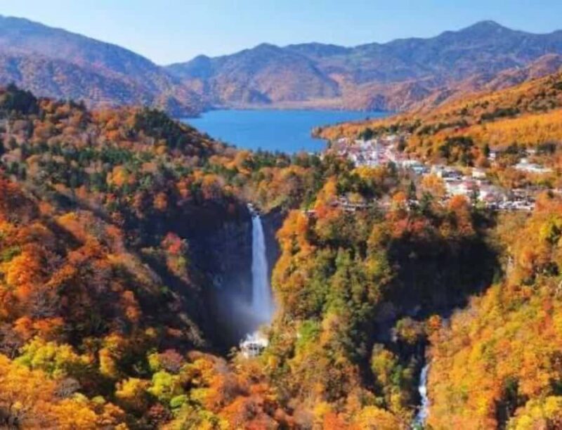 From Tokyo:Nikko World Heritage Customizable Tour with Guide - Good To Know