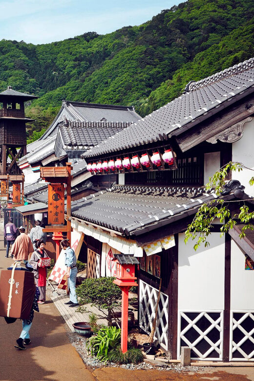 From Tokyo;Nikko World Heritage Private Tour English guide - FAQ