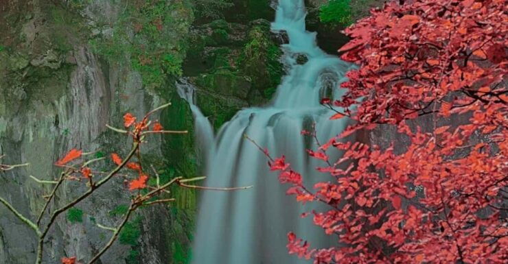 From Tokyo:Niko World Heritage Private Tour English Driver - Itinerary Highlights