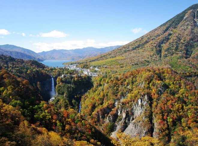 From Tokyo:Niko World Heritage Private Tour English Driver - Activities and Sightseeing