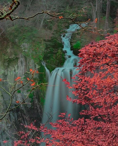 From Tokyo:Niko World Heritage Private Tour English Driver - What to Expect