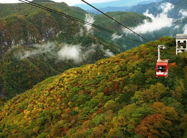 From Tokyo:Niko World Heritage Private Tour English Driver - Booking and Cancellation Policy