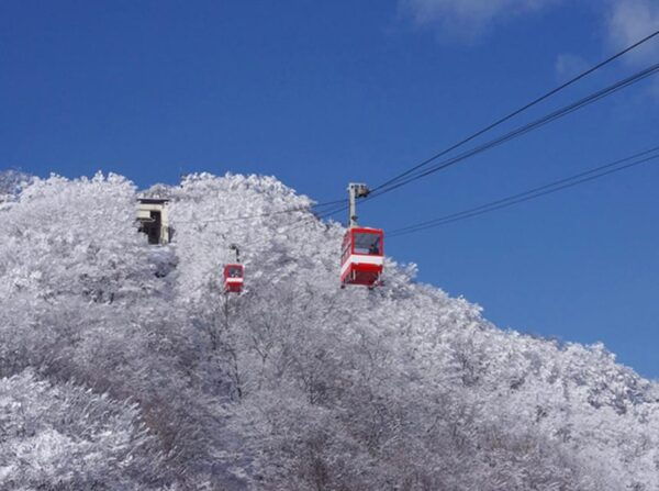 From Tokyo:Niko World Heritage Private Tour English Driver - Frequently Asked Questions