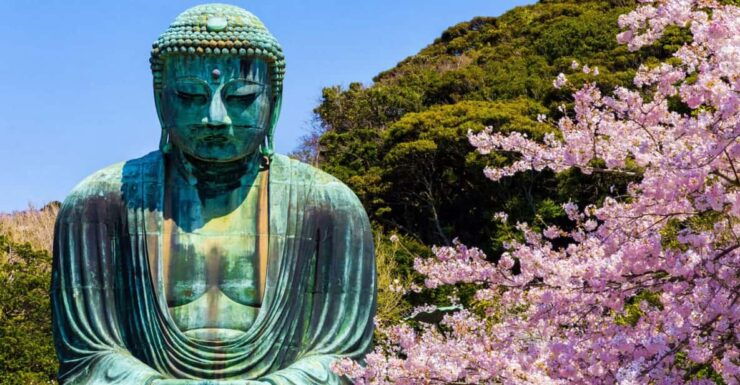 From Tokyo:Private Tour to Kamakura With Round-Way Transfer - Transportation and Driver Details