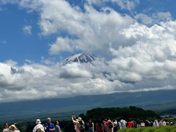 From Tokyo&Yokohama:M.Fuji Day Trip With Eng Speaking Driver - Booking Process