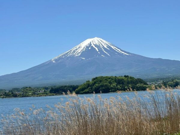 From Tokyo&Yokohama:M.Fuji Day Trip With Eng Speaking Driver - Frequently Asked Questions