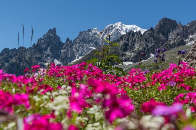 From Torino: Mont Blanc Private Full-Day Trip - Restrictions
