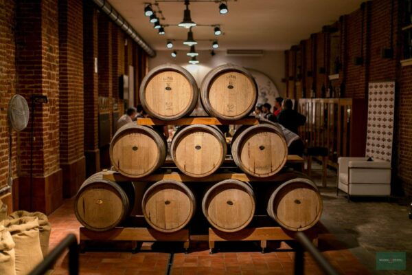 From Torino: Private Martini Experience - Inclusions Provided