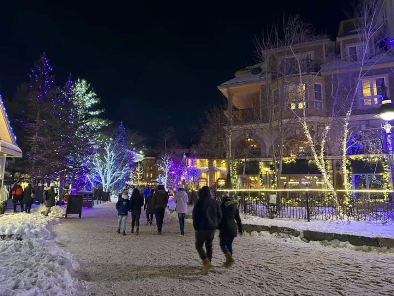 From Toronto: Blue Mountain Day Trip Skiing Snowboarding - Good To Know