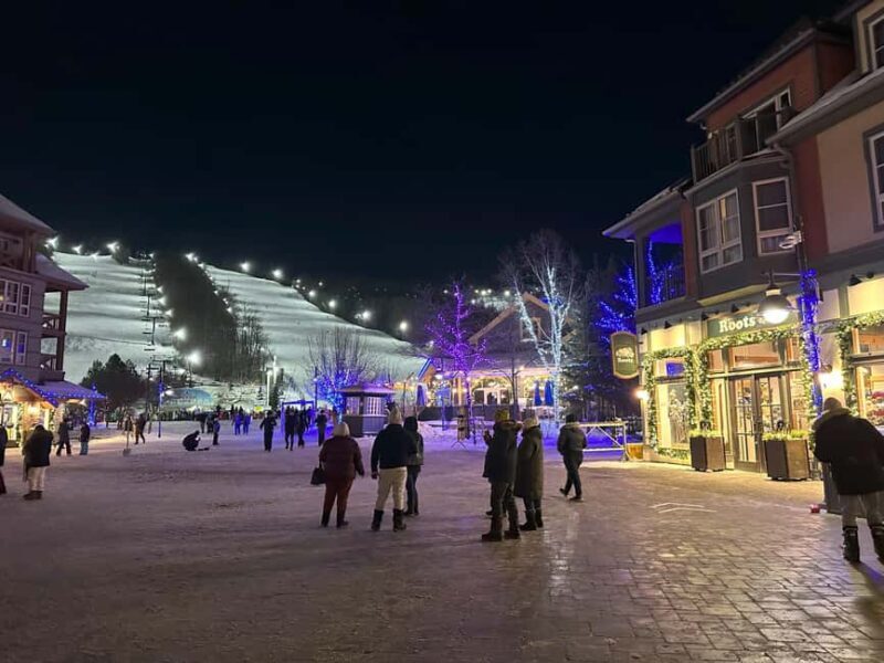 From Toronto: Blue Mountain Day Trip Skiing Snowboarding - Final Thoughts