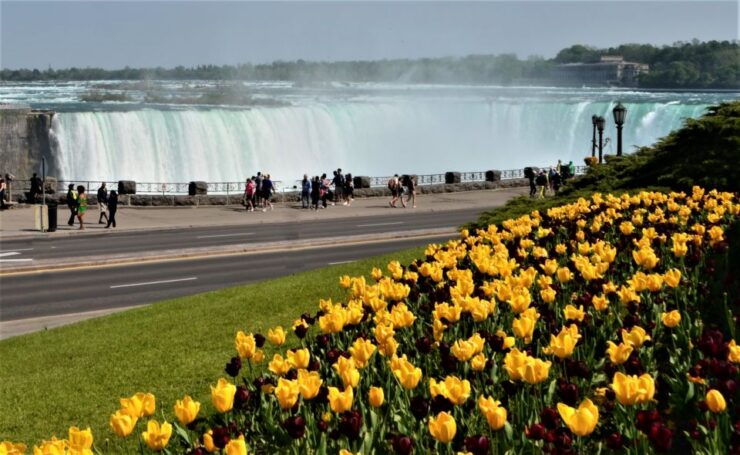 From Toronto: Niagara Falls Day Trip - Exploring Niagara Falls at Your Own Pace