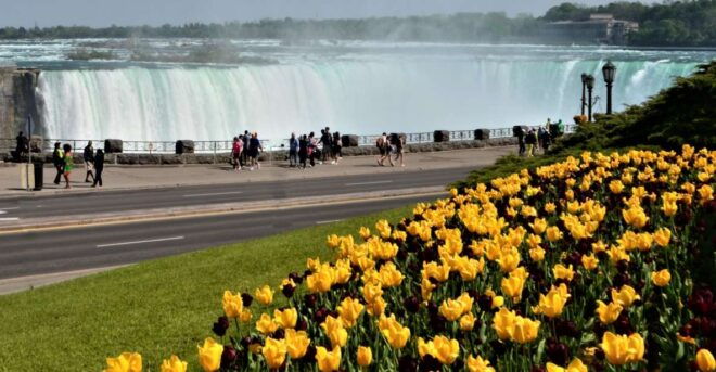 From Toronto: Niagara Falls Day Trip - Must-See Highlights of the Niagara Falls Area