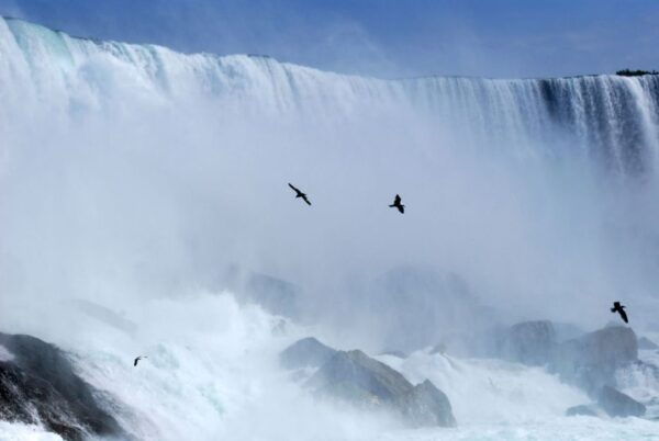 From Toronto: Niagara Falls Day Trip - Extending Your Visit to Niagara Falls