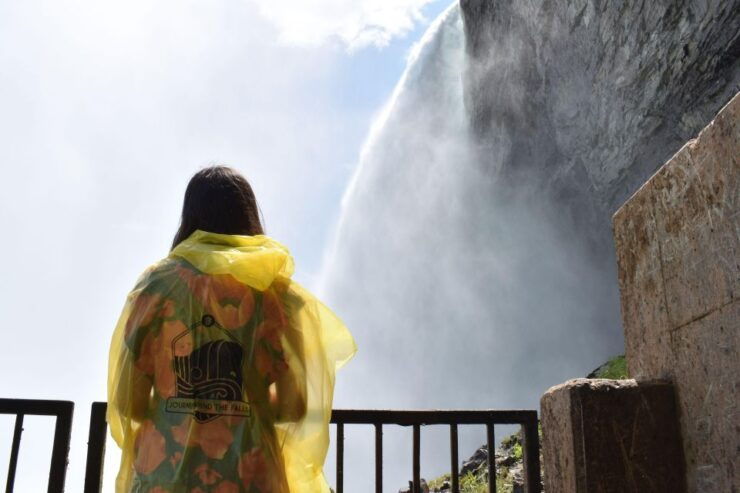 From Toronto: Niagara Falls Day Trip With Cruise Option - Itinerary and Experience Highlights