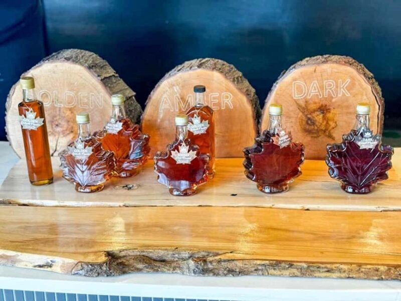 From Toronto: Niagara Falls Guided Day Tour with Boat Cruise - FAQ