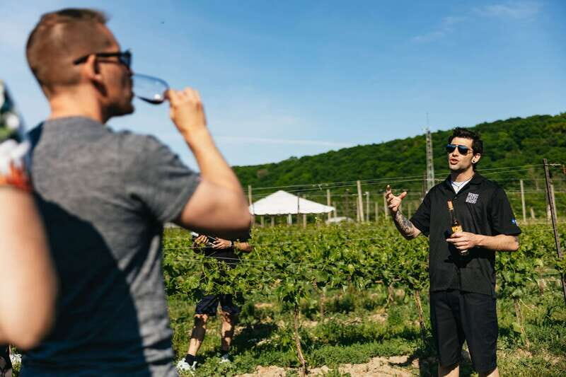 From Toronto: Niagara Falls + Winery, Cruise, & Lunch Option - Wrapping It Up