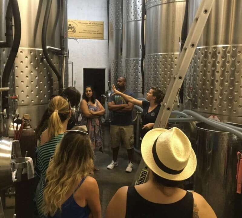 From Toronto: Niagara Wine Tours - Good To Know