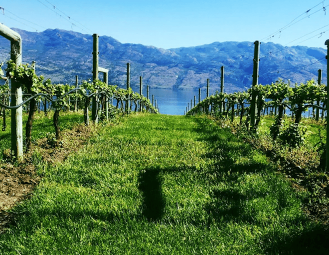 From Toronto: Niagara Wine Tours - Important Information to Note