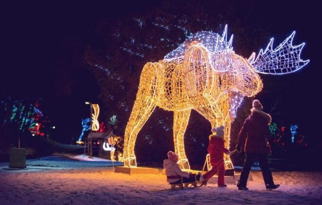 From Toronto: Winter Festival of Lights Niagara Falls Tour - Included Services