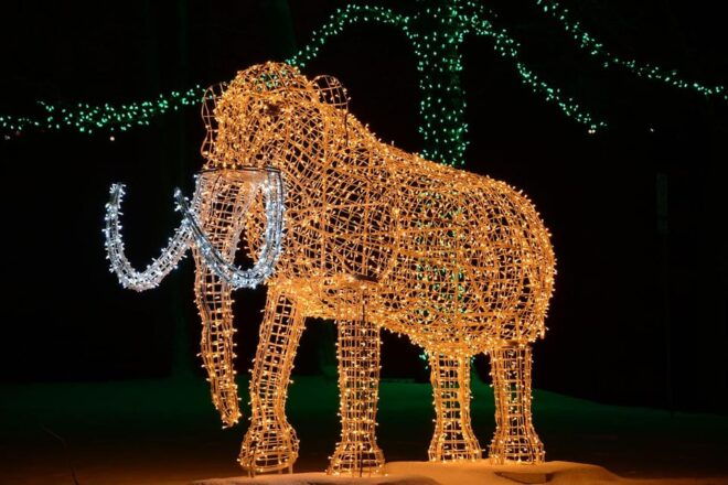 From Toronto: Winter Festival of Lights Niagara Falls Tour - Customer Feedback and Ratings