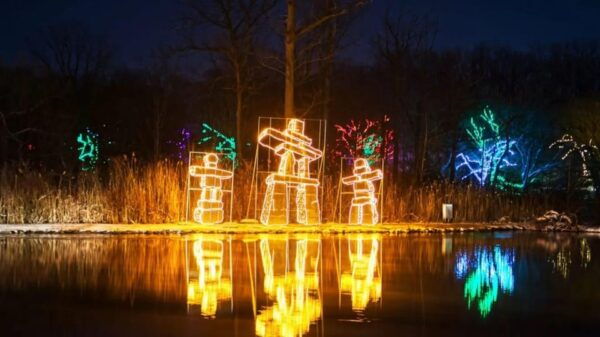From Toronto: Winter Festival of Lights Niagara Falls Tour - Tour Departure and Return Times