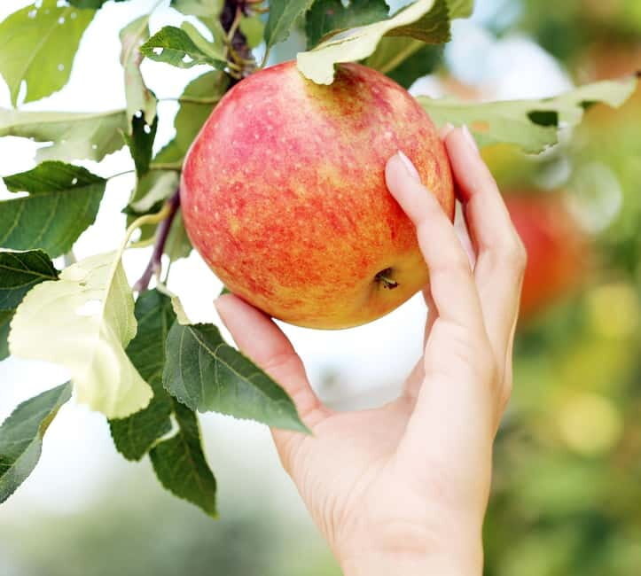 From Torre de Moncorvo: an Immersive Tour through Douro - An Authentic Taste of Douro’s Natural and Cultural Riches