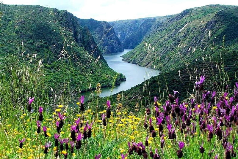 From Torre de Moncorvo: an Immersive Tour through Douro - The Itinerary in Detail