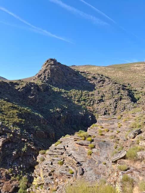 From Torre de Moncorvo: an Immersive Tour through Douro - Who Would Enjoy This Tour?