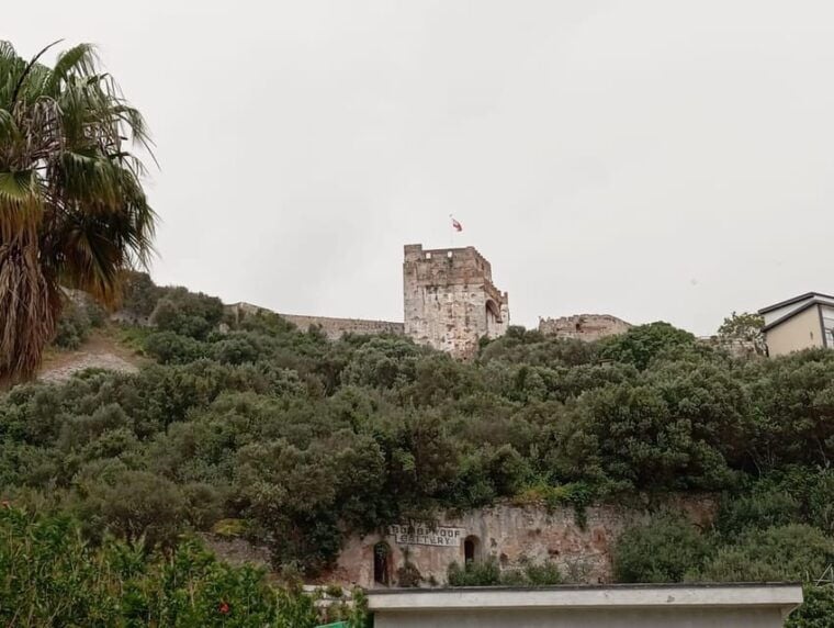 From Torremolinos: Day Trip to Gibraltar - Transportation Details