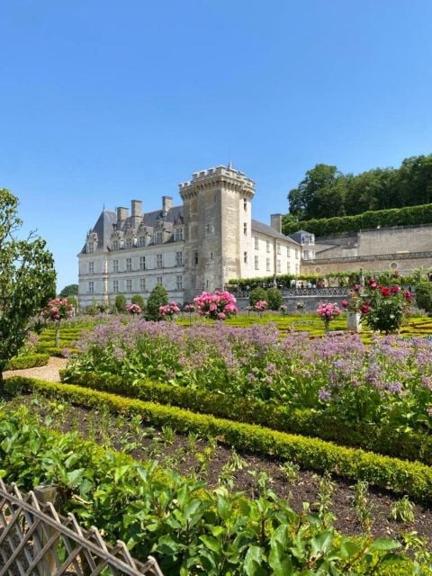 From Tours: Afternoon Loire Valley Wine Tour to Vouvray - Visiting Local Wineries and Wine Tasting