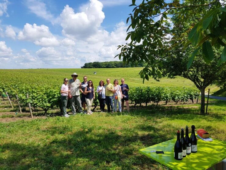 From Tours: Afternoon Loire Valley Wine Tour to Vouvray - Vineyard Exploration in Vouvray