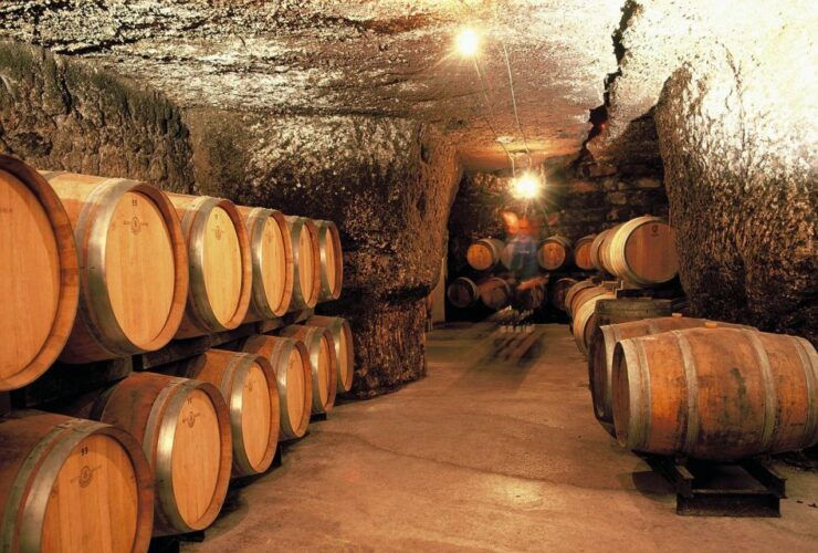 From Tours: Loire Valley Wineries Day Trip With Tastings - Activity Details