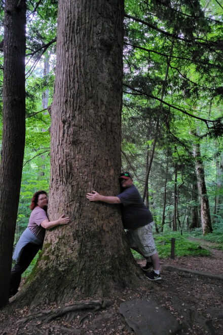 From Townsend: Great Smoky Mountains National Park Hiking - Guided Experience