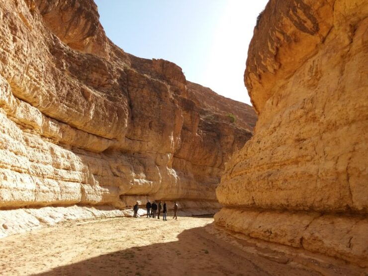 From Tozeur: Half-Day Mountain Oases Tour - Activity Details