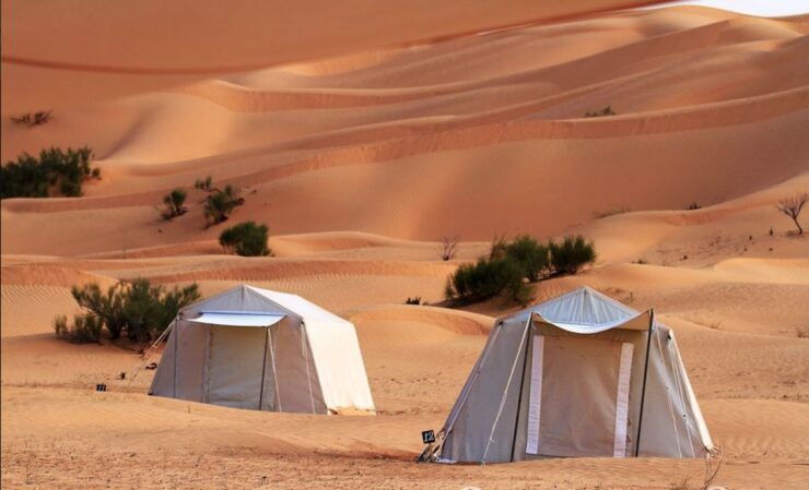 From Tozeur: Overnight Private Sahara Desert Safari - Language and Accessibility