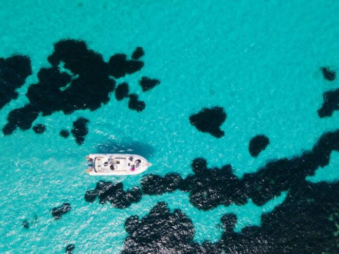 From Trapani: Egadi Islands Favignana & Levanzo Cruise - Full Description